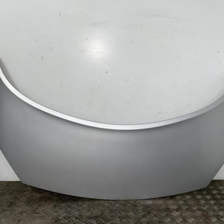 Capot RENAULT SCENIC 2 Photo n°1