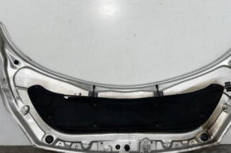 Capot RENAULT SCENIC 2