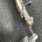 Plage arriere RENAULT R19
