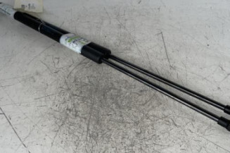 Verin de coffre CITROEN C4 CACTUS Photo n°1