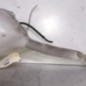 Vase de lave glace CITROEN C3 1