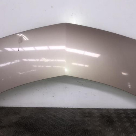 Capot RENAULT MODUS