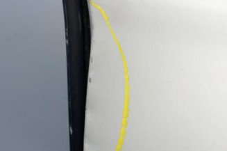 Porte de coffre droit RENAULT KANGOO 1 Photo n°3