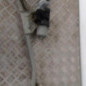 Moteur essuie glace avant DACIA LOGAN MCV 1