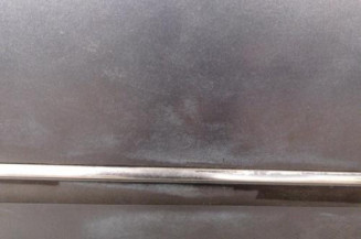 Porte arriere gauche PEUGEOT 407