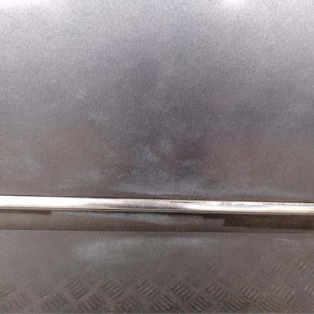 Porte arriere gauche PEUGEOT 407