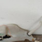 Vase de lave glace RENAULT MEGANE 3
