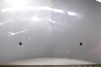 Capot RENAULT CLIO 3 Photo n°1