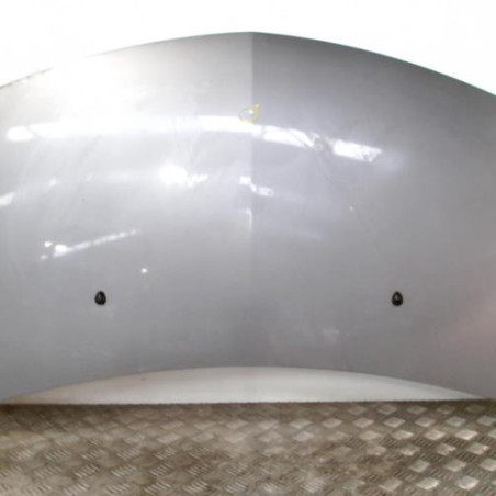 Capot RENAULT CLIO 3 Photo n°1
