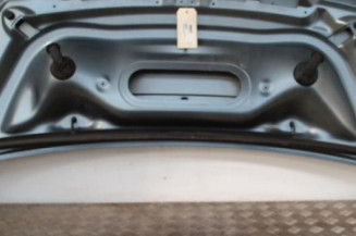 Capot FIAT SCUDO 2