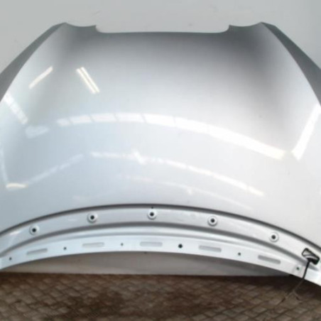 Capot SEAT TOLEDO 3 Photo n°1