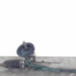 Cremaillere assistee PEUGEOT 5008 1