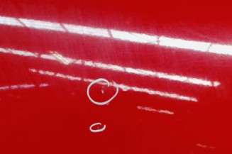 Porte arriere droit SEAT IBIZA 4 Photo n°3