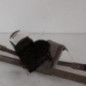 Moteur essuie glace avant PEUGEOT 206
