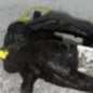 Etrier avant droit (freinage) PEUGEOT 308 1 SW
