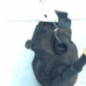 Etrier avant droit (freinage) VOLKSWAGEN POLO 5