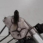 Moteur essuie glace arriere CITROEN C4 1
