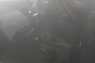 Porte avant gauche OPEL INSIGNIA 1