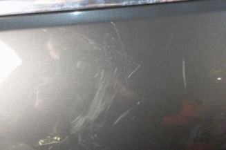 Porte avant gauche OPEL INSIGNIA 1 Photo n°4