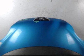 Capot PEUGEOT 107 Photo n°1