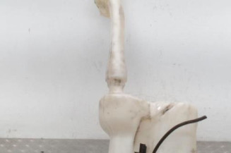 Vase de lave glace NISSAN NV400