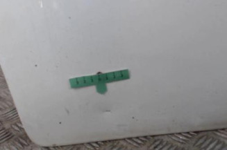 Porte avant gauche NISSAN NV400 Photo n°3