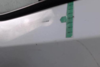 Porte avant gauche NISSAN NV400 Photo n°4