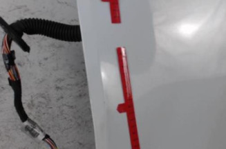 Porte avant gauche NISSAN NV400 Photo n°5
