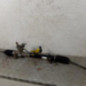 Cremaillere assistee FIAT DOBLO 2