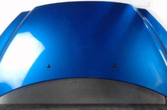 Capot PEUGEOT 308 1 Photo n°1