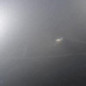 Aile avant droit VOLKSWAGEN NEW BEETLE 1