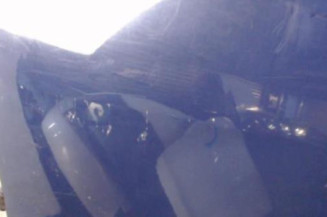 Porte arriere gauche DACIA SANDERO 1