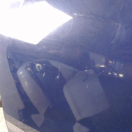 Porte arriere gauche DACIA SANDERO 1