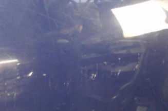 Porte arriere gauche DACIA SANDERO 1 Photo n°3
