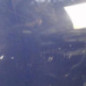 Porte arriere gauche DACIA SANDERO 1
