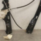 Leve vitre electrique avant droit BMW X1 E84