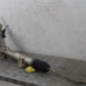 Cremaillere assistee RENAULT TRAFIC 3 COURT