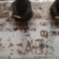 Bloc ABS (freins anti-blocage) VOLKSWAGEN FOX