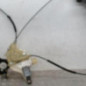 Leve vitre electrique avant droit BMW SERIE 3 E92