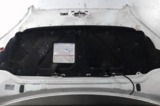 Capot FIAT DOBLO 1 Photo n°4
