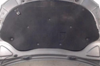 Capot VOLKSWAGEN PASSAT 5 Photo n°5