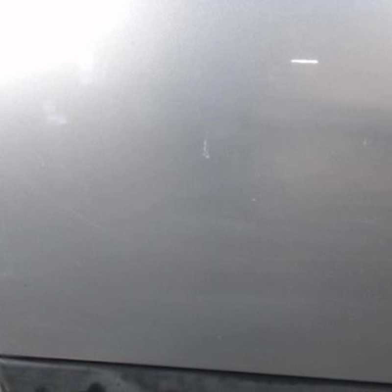 Porte arriere gauche RENAULT CLIO 2 CAMPUS
