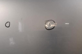 Porte arriere gauche RENAULT CLIO 2 CAMPUS Photo n°4