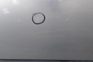 Porte arriere gauche RENAULT CLIO 2 CAMPUS Photo n°6