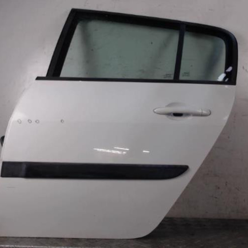 Porte arriere gauche RENAULT MEGANE 2