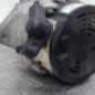 Alternateur PEUGEOT 107