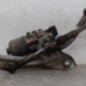 Moteur essuie glace avant RENAULT TWINGO 2