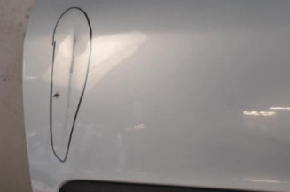 Porte avant gauche PEUGEOT 206