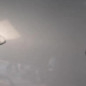 Porte avant gauche PEUGEOT 206
