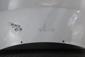 Capot PEUGEOT EXPERT 1 Photo n°1